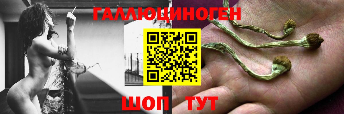 Галлюциногенные грибы мицелий  Вход с VPN  Урус-Мартан  Галлюциногенные грибы MAGIC MUSHROOMS 
