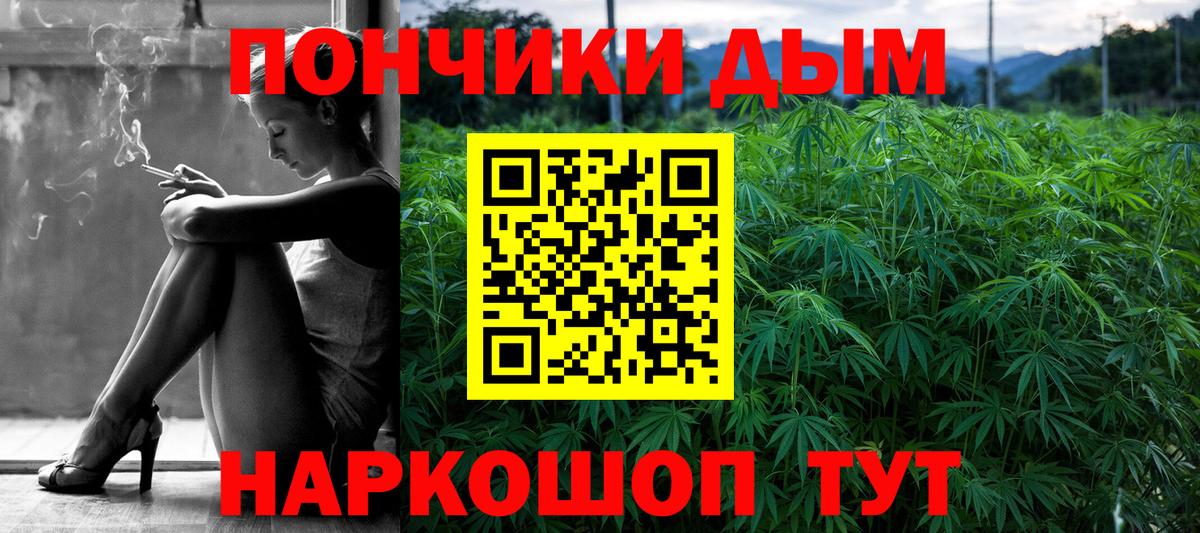 Каннабис сатива Урус-Мартан
